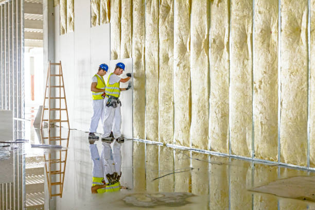 Best Insulation Maintenance and Repair in Lake Don Pedro, CA